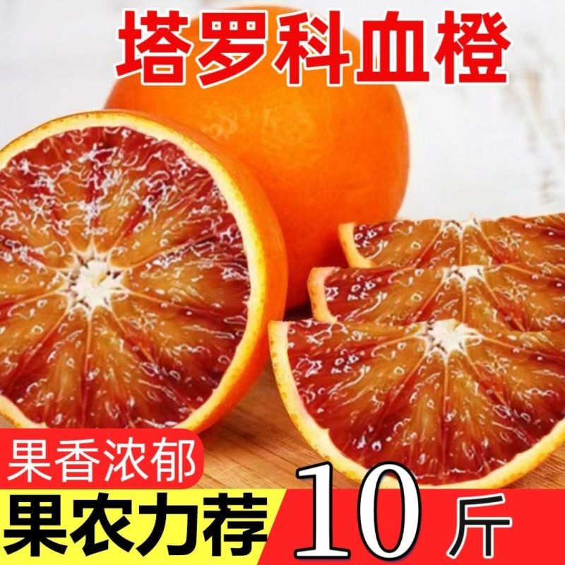 四川血橙橙子一件代发电商平台对接抖音快手视频号直播等~~