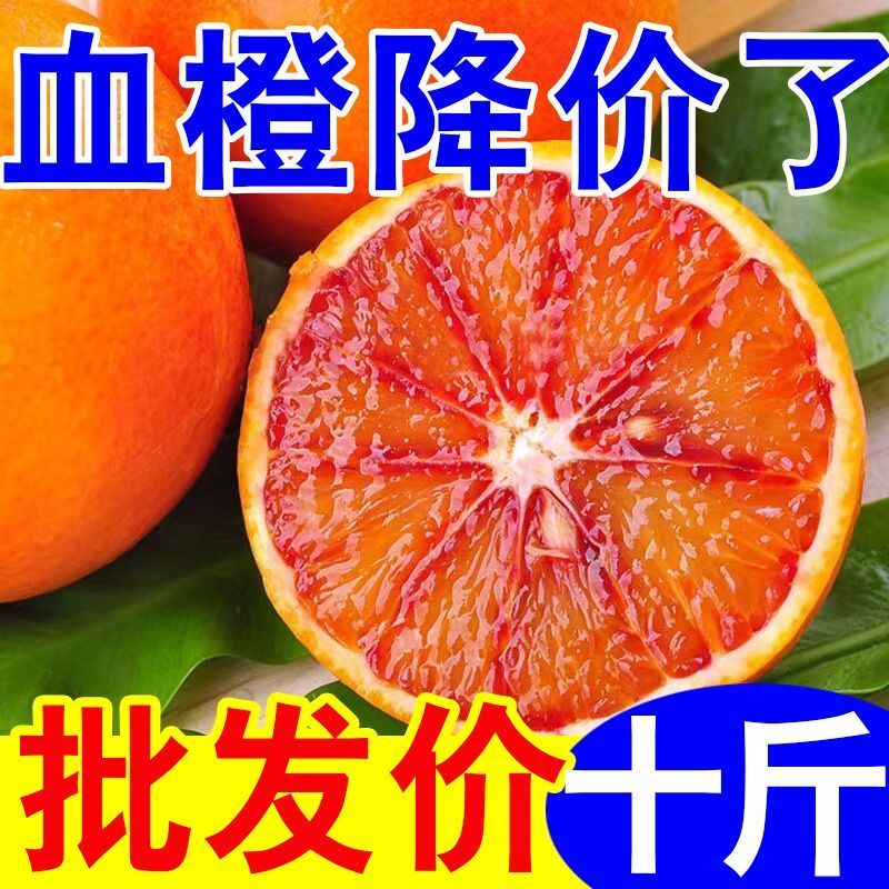 四川血橙橙子一件代发电商平台对接抖音快手视频号直播等~~