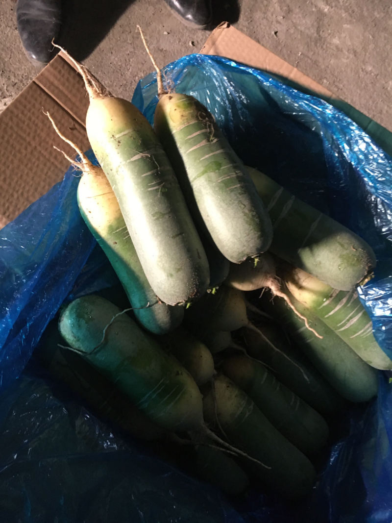 水果萝卜，口感好，电商市场