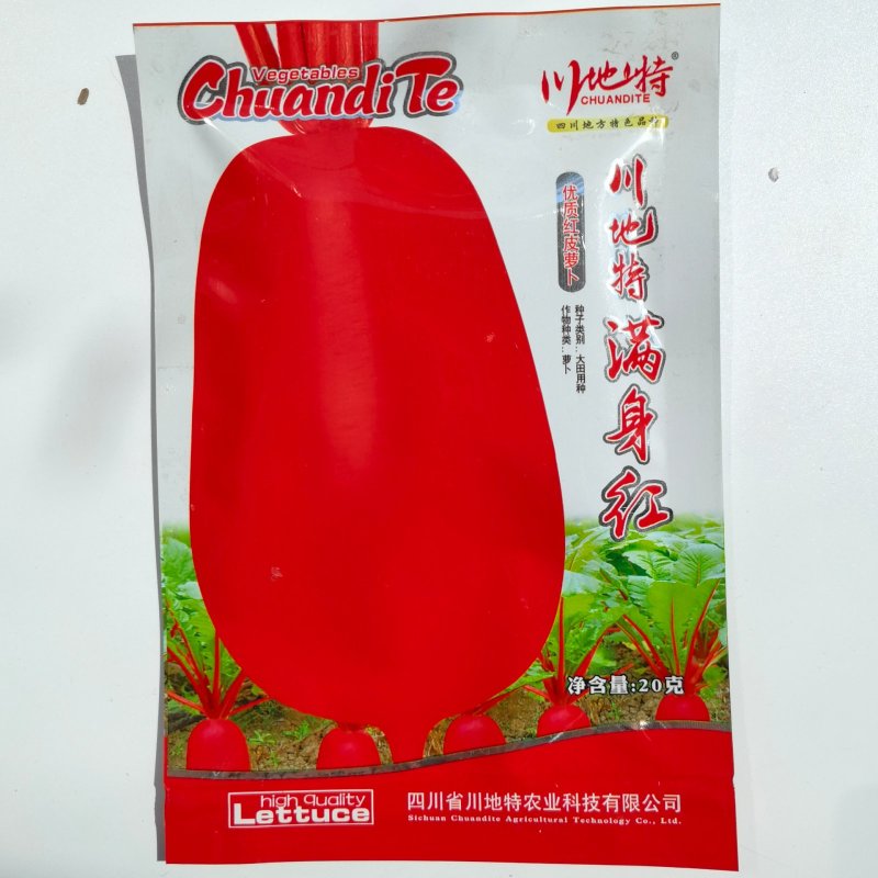 川地特满身红萝卜种子早熟品种耐热强叶呈琵琶叶形表皮红