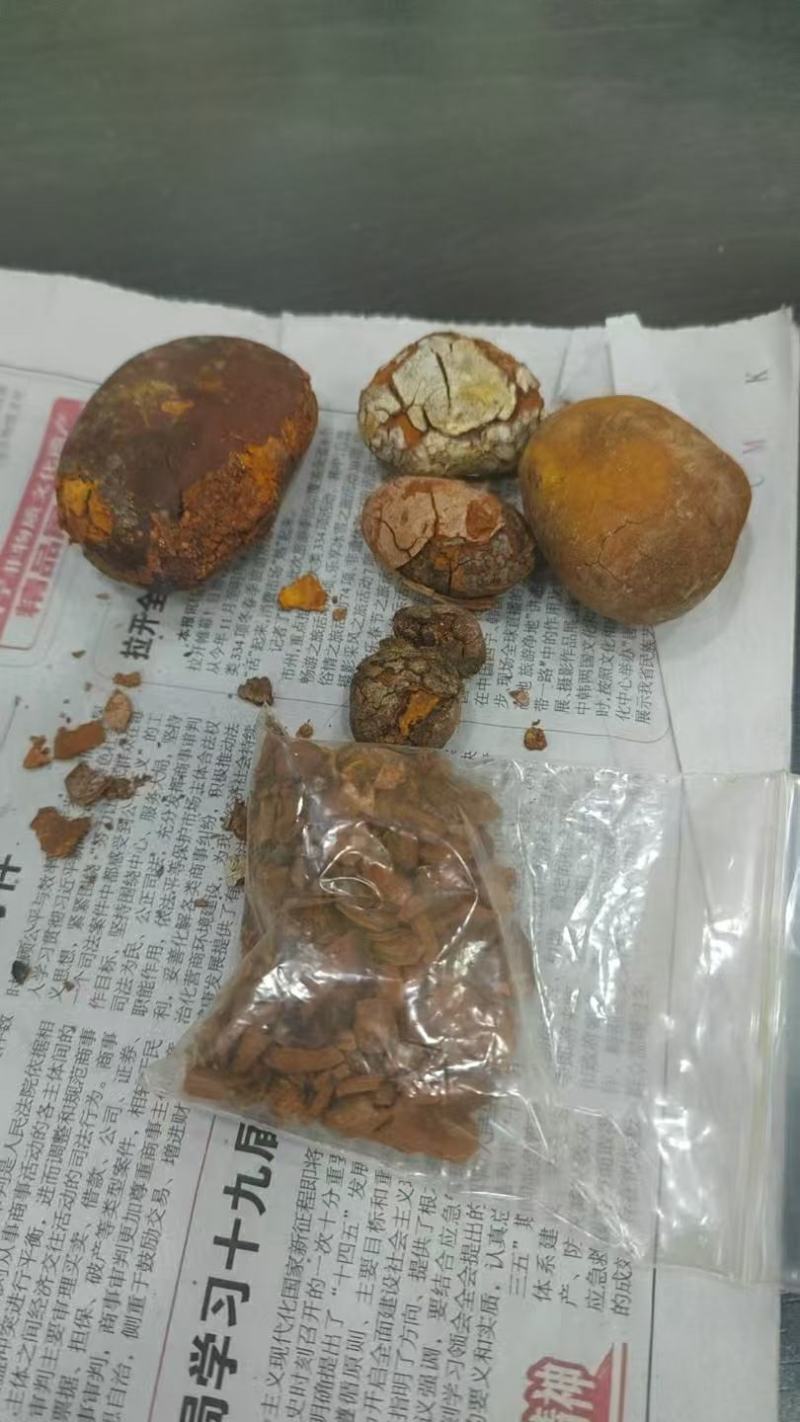 天然牛黄