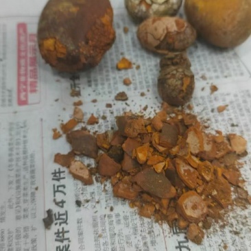 天然牛黄