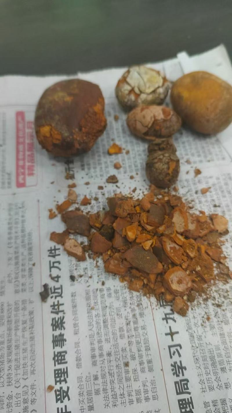 天然牛黄