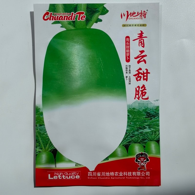青云甜脆萝卜中晚熟品种耐寒味微甜不易辣心基地专用