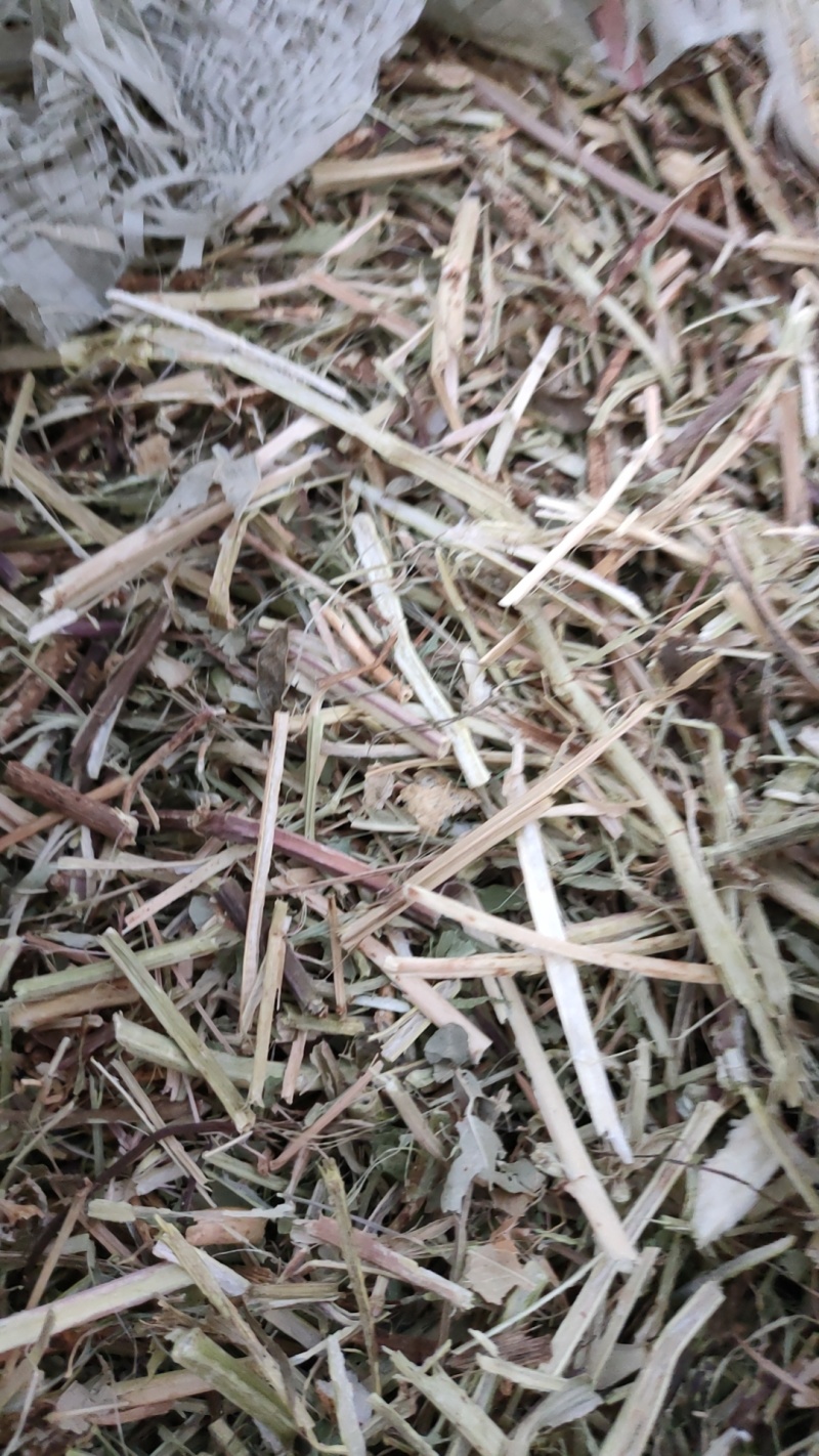 风选柔丝花生秧，价格随行就市，量大从优真诚，真诚做生意