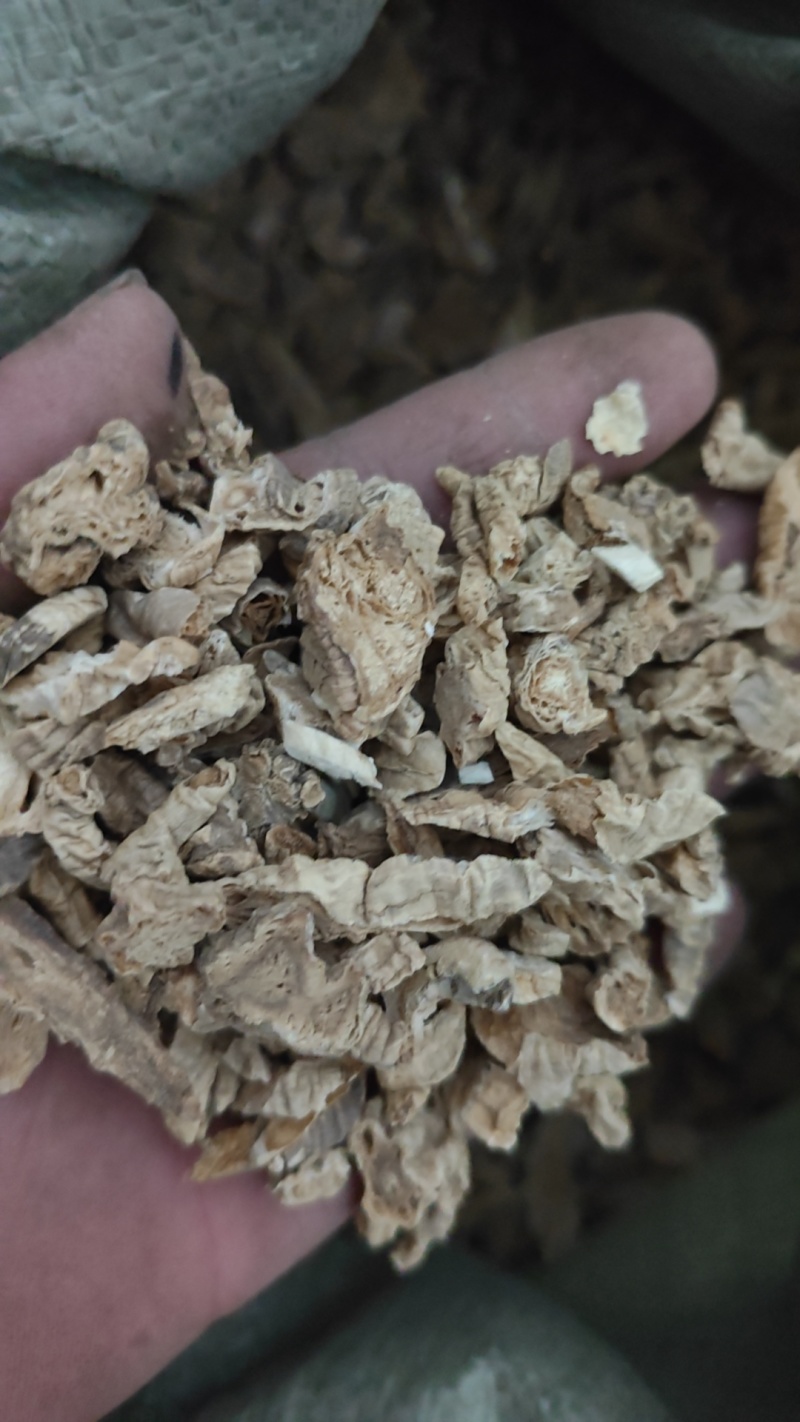 南沙参泡参靓货纯无硫货欢迎下单，不满意可以退货退款