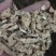南沙参泡参靓货纯无硫货欢迎下单,不满意可以退货退款