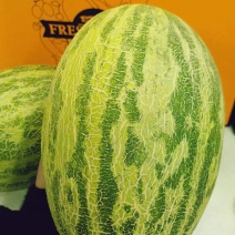 青蛙王子蜜瓜，夜姬辉蜜瓜，高端蜜瓜