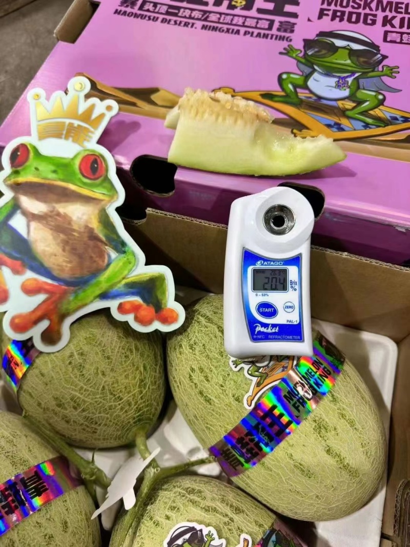 青蛙王子蜜瓜，夜姬辉蜜瓜，高端蜜瓜