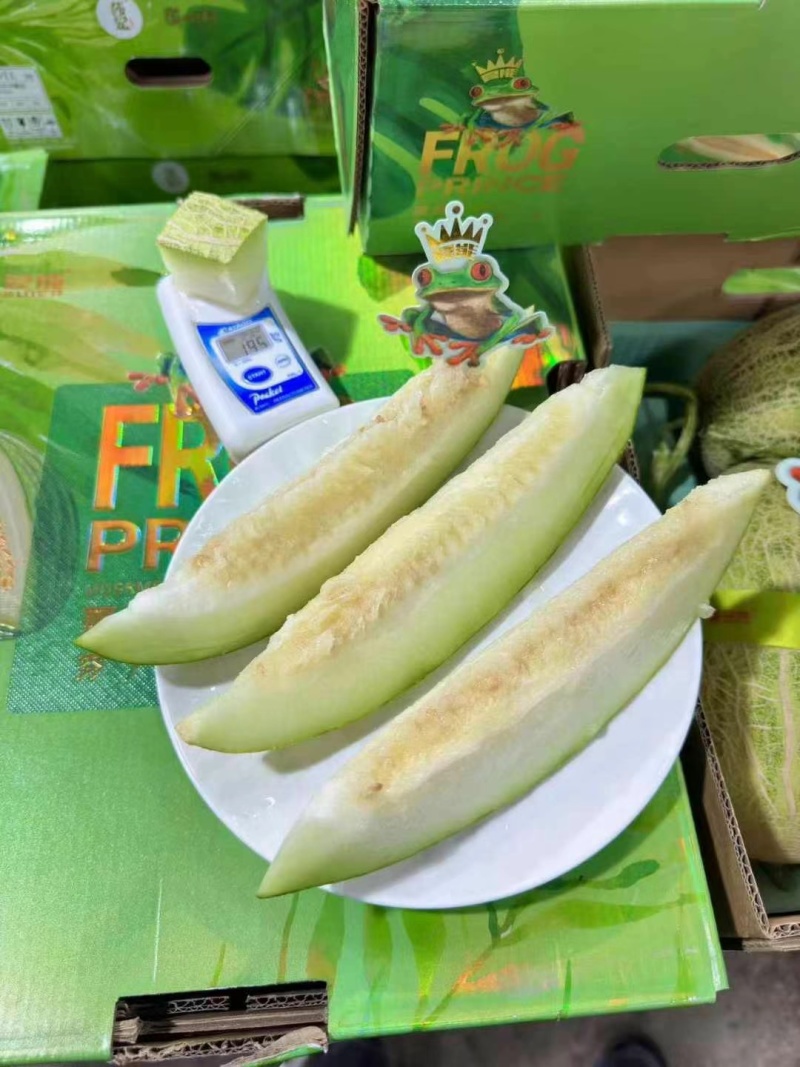 青蛙王子蜜瓜，夜姬辉蜜瓜，高端蜜瓜