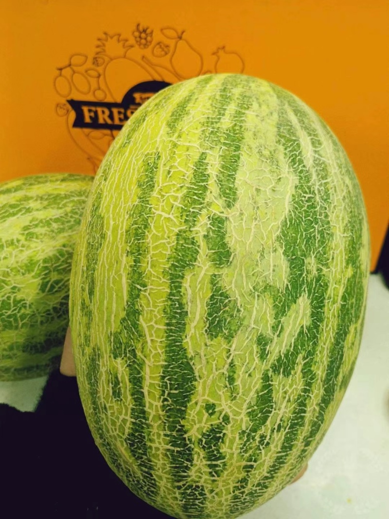 青蛙王子蜜瓜，夜姬辉蜜瓜，高端蜜瓜