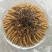冬虫夏草【虫草】支持货到开箱验货，可发往全国市场！诚信经营