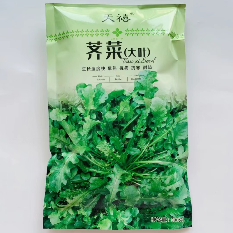 荠菜种子大叶荠菜种子野生荠荠菜野菜种子保健菜种子秋季蔬菜