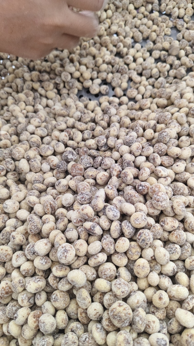 新疆油沙豆虎坚果产地直发