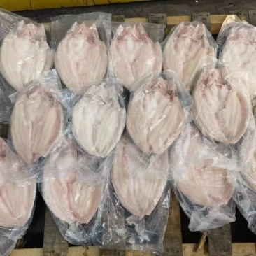 腌制开背巴沙鱼。吊炉烤鱼，毛重28净重24斤