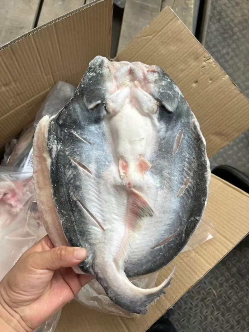 腌制开背巴沙鱼。吊炉烤鱼，毛重28净重24斤