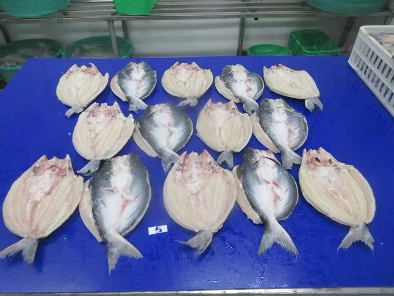 腌制开背巴沙鱼。吊炉烤鱼，毛重28净重24斤