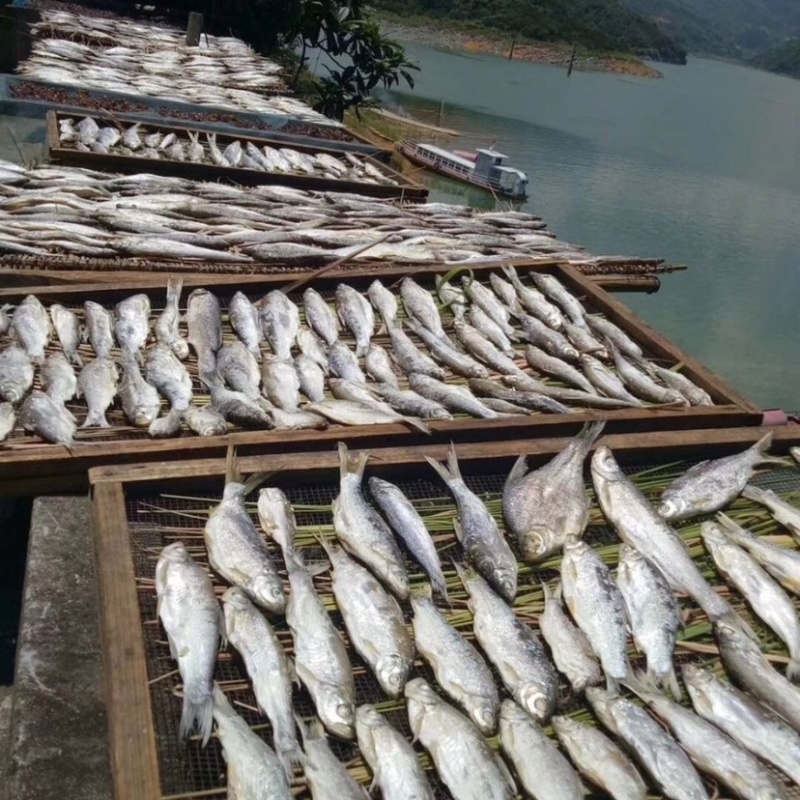 东江鱼