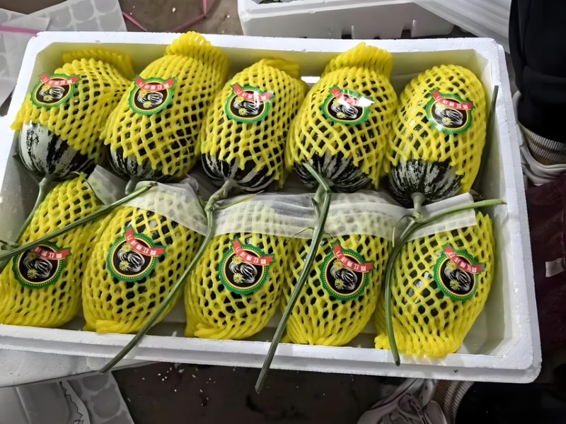 博洋九号精品基地直供产地现摘脆甜多汁可视频看货