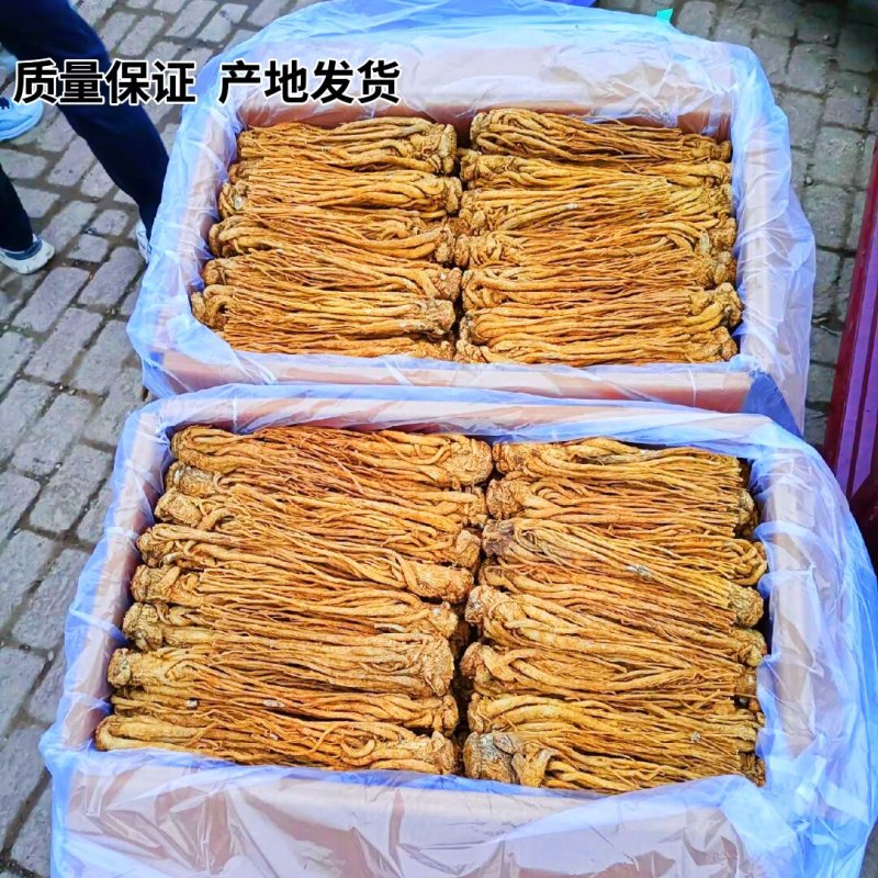 岷县产地【水洗黄当归】量大从优正品保证