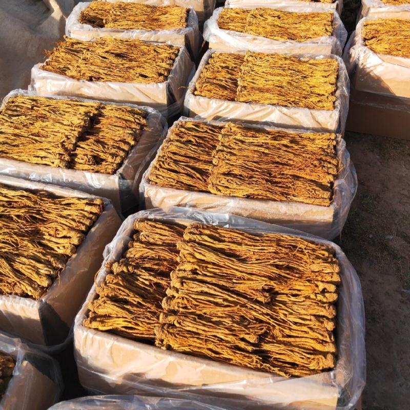 岷县产地【水洗黄当归】量大从优正品保证