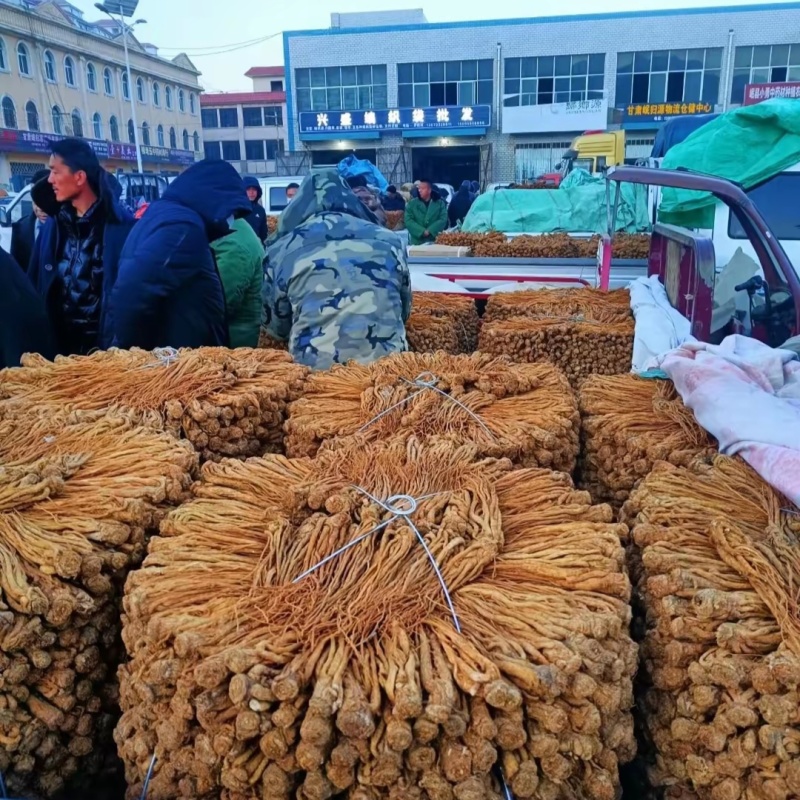岷县原产地【水洗黄当归】量大从优正品保证优质货源