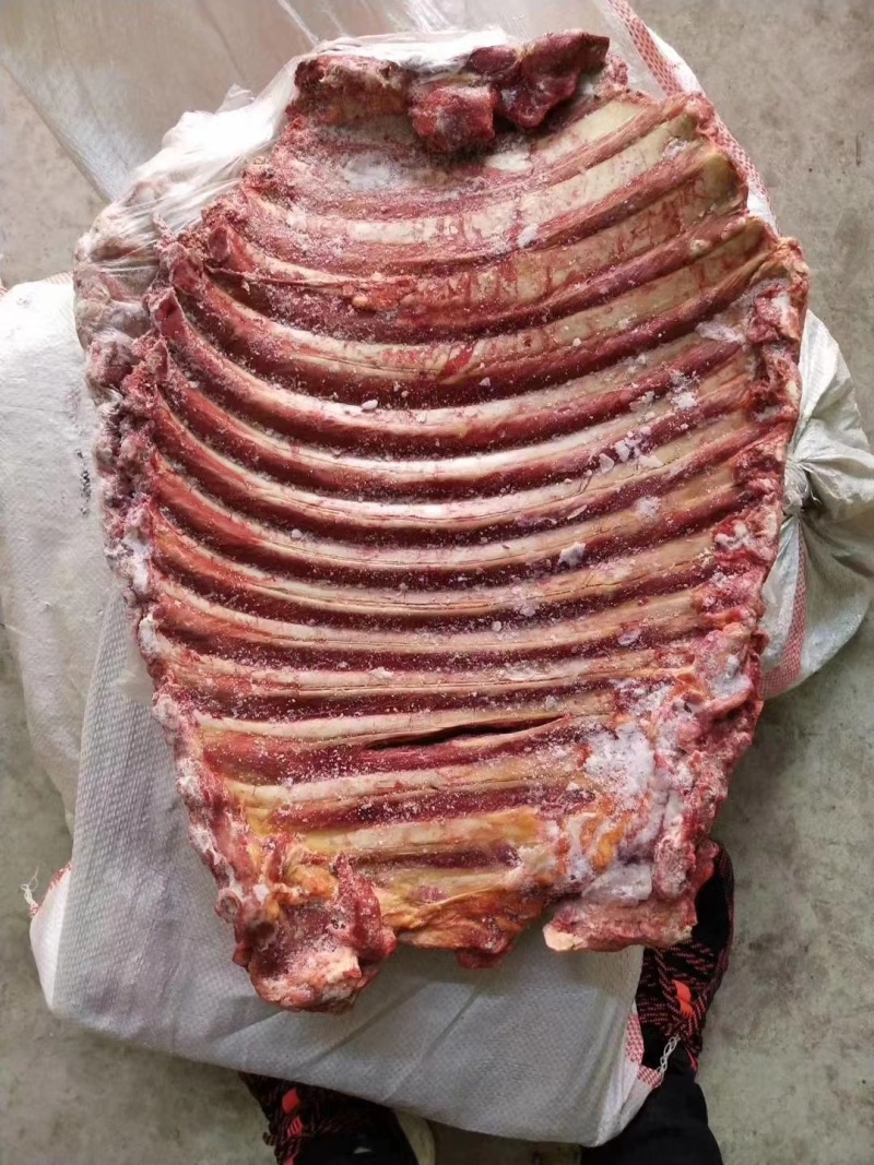 新疆纯驴排