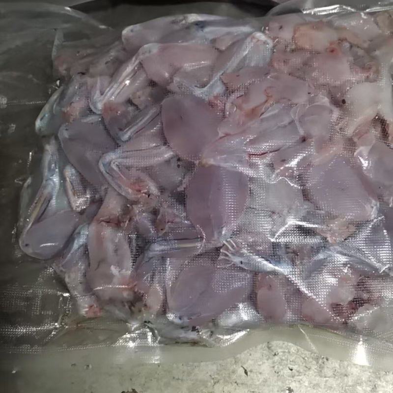 现杀冷冻牛蛙