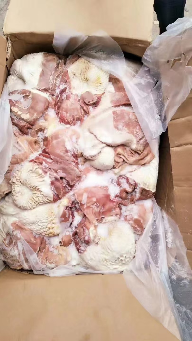 驴肚