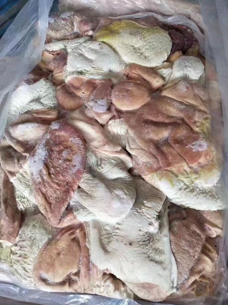 驴肚