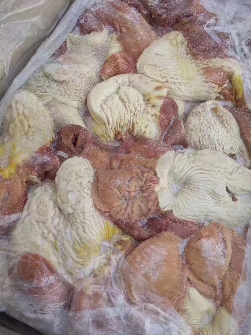 驴肚