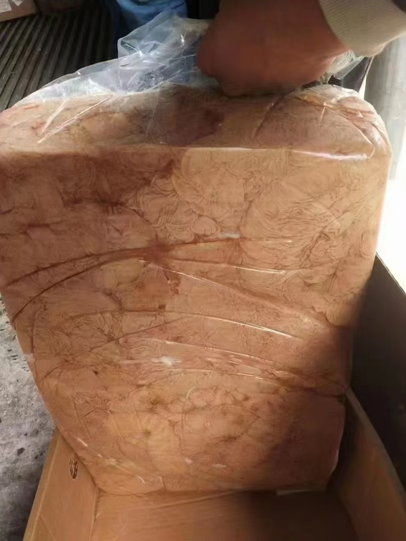 驴板肠