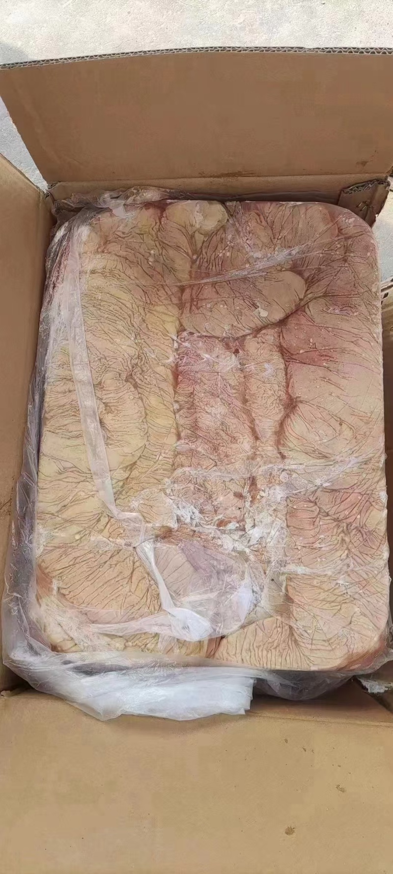 驴板肠