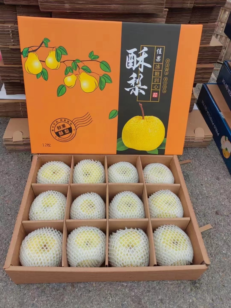 砀山酥梨产地一手货源质量保证供应全国欢迎咨询！