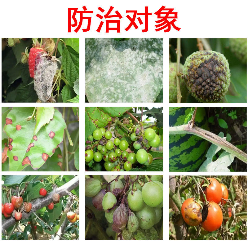 拜耳露娜森葡萄灰霉病草莓白粉病黄瓜靶斑病炭疽病正品农药杀