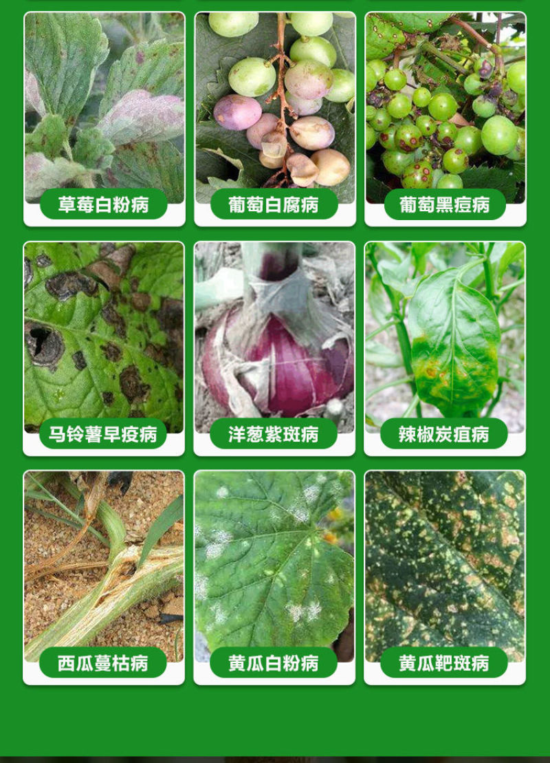 拜耳露娜森葡萄灰霉病草莓白粉病黄瓜靶斑病炭疽病正品农药杀