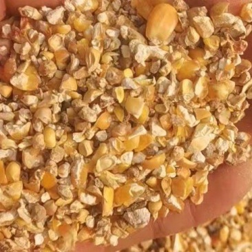 长期售卖东北通辽碎玉米常年有货物流发货快