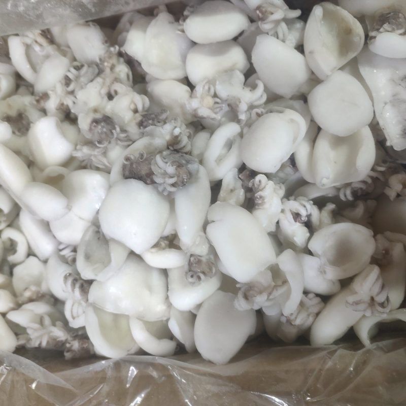 次品墨鱼仔，墨鱼片