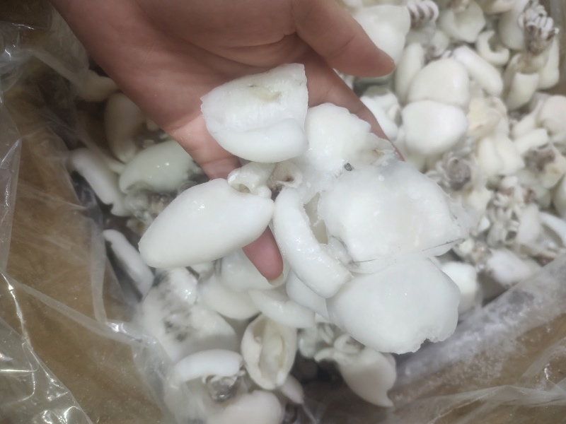 次品墨鱼仔，墨鱼片