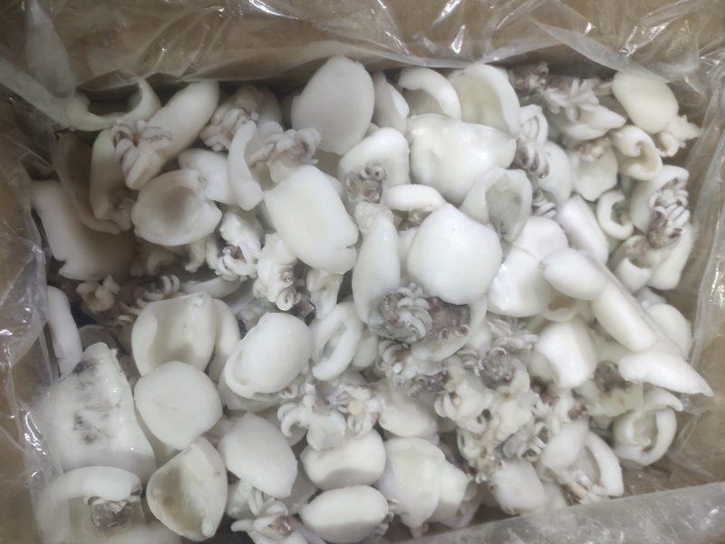 次品墨鱼仔，墨鱼片