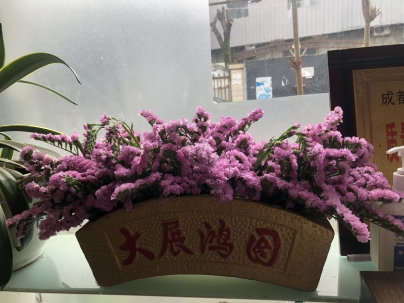 云南勿忘我鲜花干花昆明花整件鲜花散花秤斤花