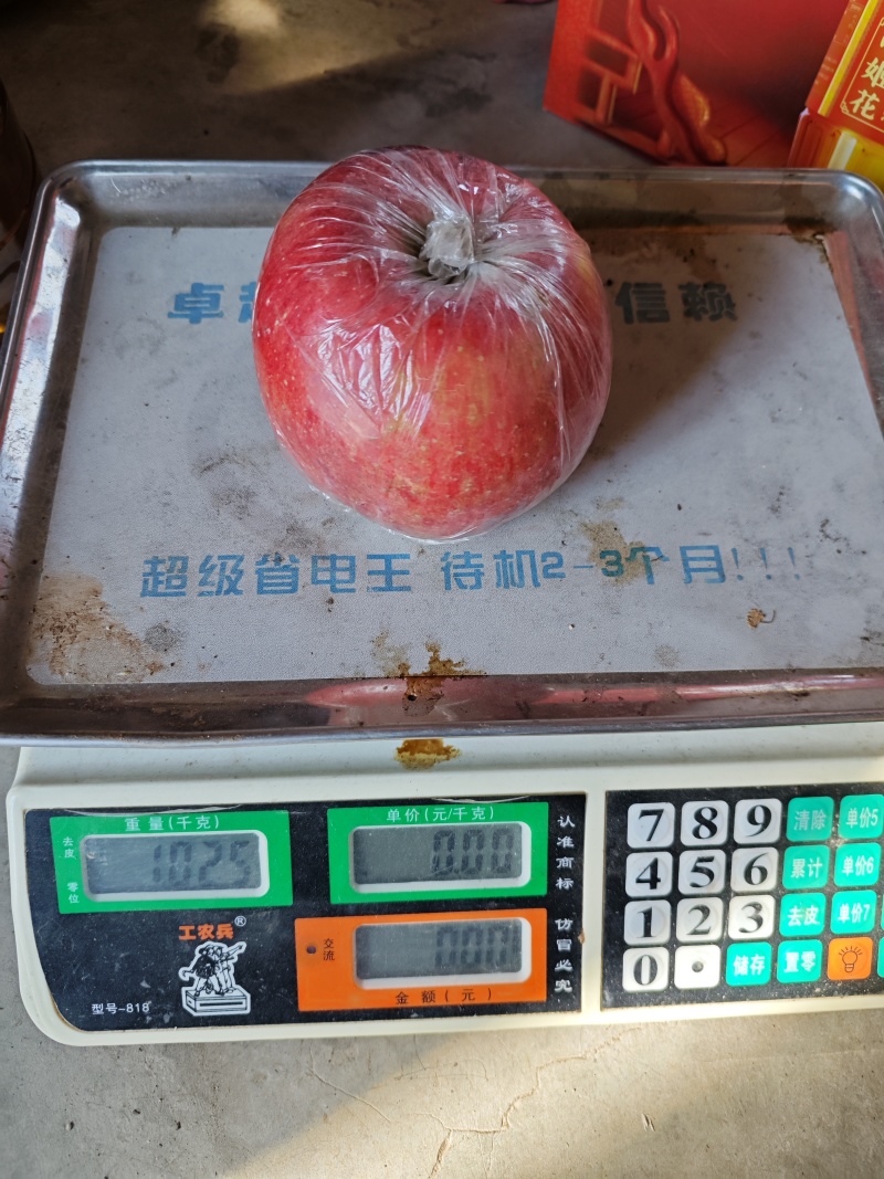 卖黄心富士树，3-5年已经结果的树