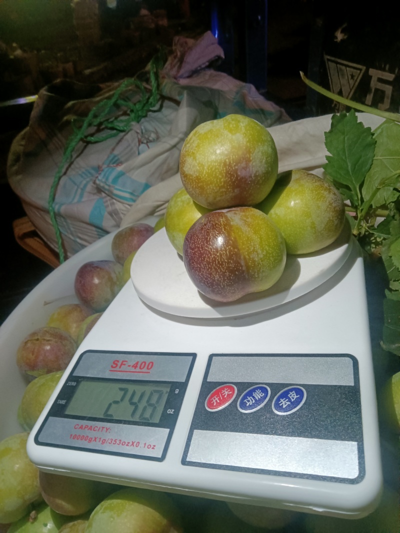 半边红，小翠红，五月脆有需要的老板，请联系我谢谢！