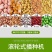 手推式种花生玉米黄豆播种机神器精播器新款多功能小型多功能