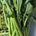 板蓝根青菜，爱马仕级蔬菜板蓝根青菜