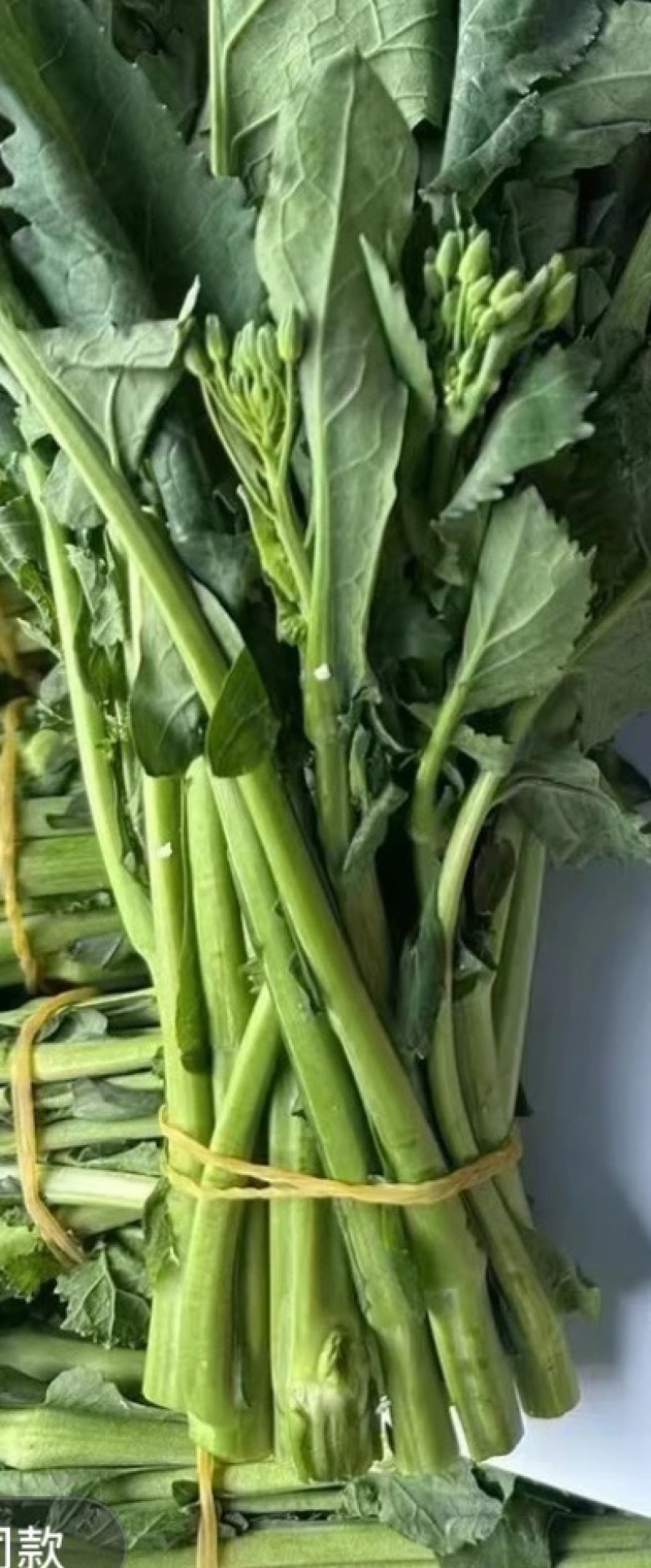 板蓝根青菜，爱马仕级蔬菜板蓝根青菜