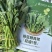 板蓝根青菜，爱马仕级蔬菜板蓝根青菜