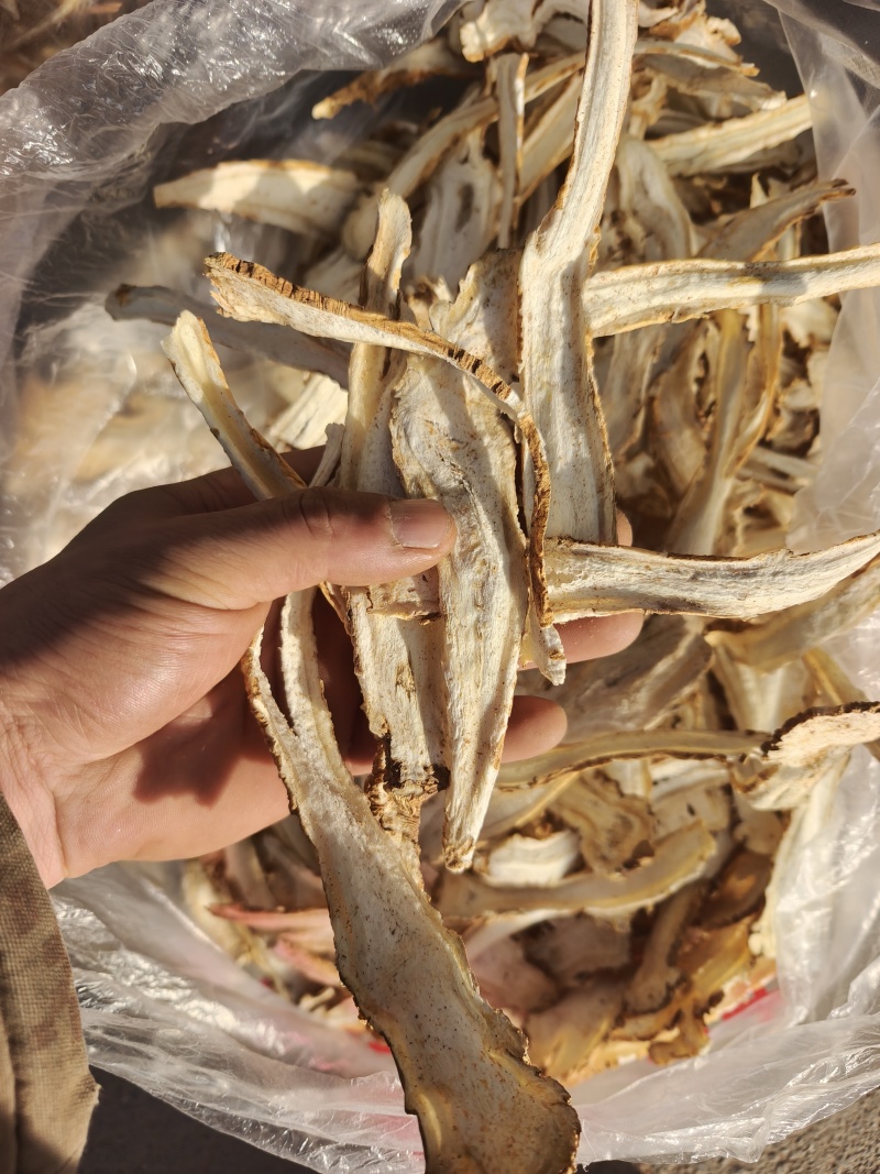 独活头片，产地批发零售