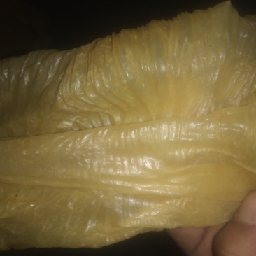 人造肉
