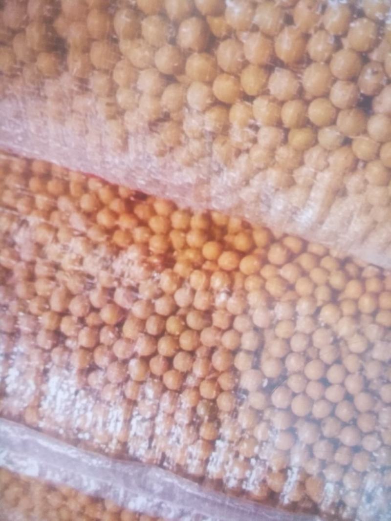 长期售卖东北通辽黄大豆碎大豆欢迎前来咨询